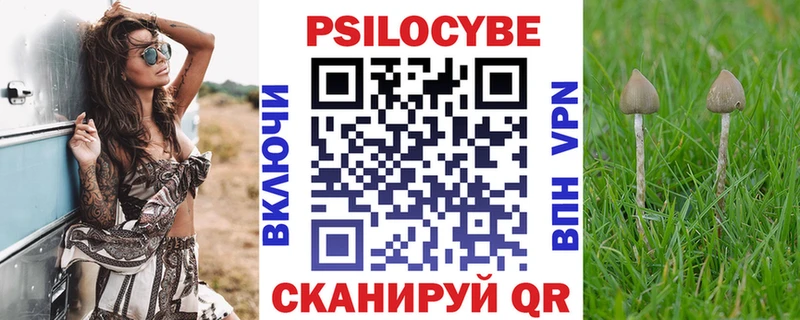 Псилоцибиновые грибы прущие грибы кракен ТОР Нерюнгри купить наркотики сайты